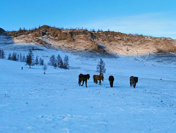 � �������� ������ ������� ������ �������� �������� ������