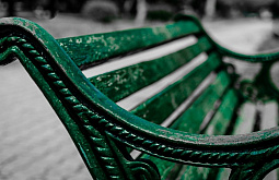 ��� ���� �� ����� ����-��� ���� ����������������� 