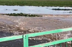 ����� ������� ��������� � ���������� �������� � �������������� ������