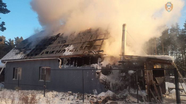 � ���� ������� ������ ����� ���