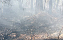 В Бурятии тушат лесной пожар на крутом склоне 