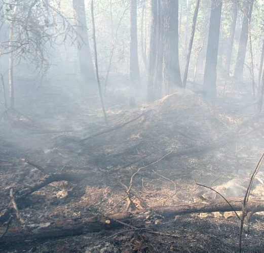 В Бурятии тушат лесной пожар на крутом склоне 