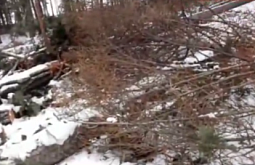 ���������� ������ � ������� �������� ������� ��� ����