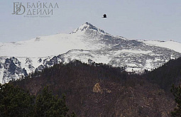 ���������� � ������� ��������� ���� ������������