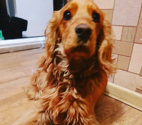 ��������� ����� ���� ������� ��� ���������� ��������