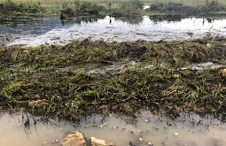 � ������� �������� ���������� ������ 