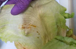 � ������� �� ����� �������� ����� � ������ ����������� 