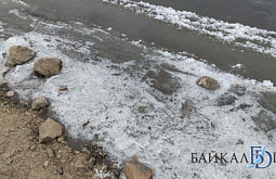 � ������������ ������ ������� ����� ����� ���������� ����������