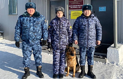 � ����-��� ���������� ������� �������� ������ ������ ������������ ��������