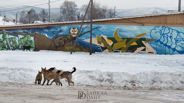 � ����-��� ����� ������� ������ �� �������� �����