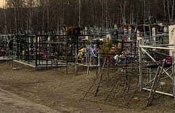 � ������ ������� �� �������� ��������� 30 �����