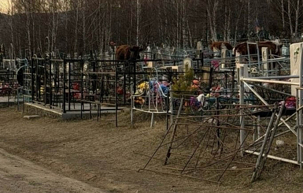 � ������ ������� �� �������� ��������� 30 �����