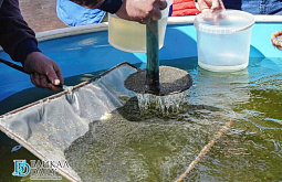 � ������ ������ ��������� ������� ������� �����