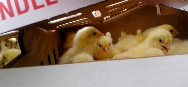 � ������� ��������� ����� 11 ����� ��������� ������ 