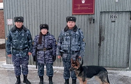 � ������� ������� ���������� ������� ������ ������������ �������