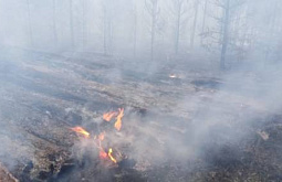 Более 500 человек сражались с огнём в лесах Бурятии 