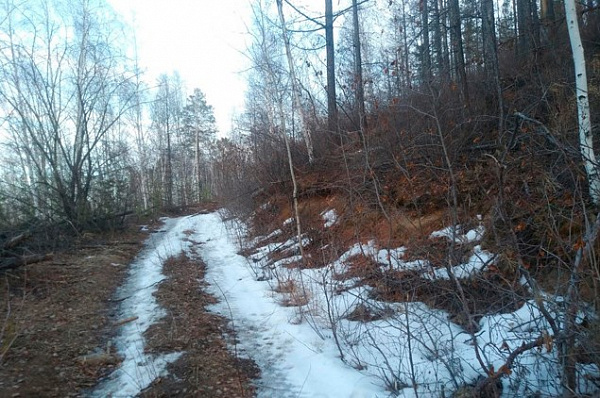 � ������� �� ���� �������� ��� ���� ����� 19-������ ������