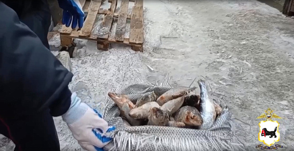 ���������� �� ������� ������� � ������� ����� �� 10 ��� ������