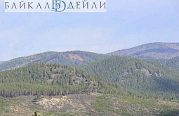 ������ ������� ������� �������� ����������� � ����� ����������