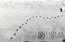 � ������� ������� ����� ������� ����