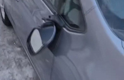 ������ ����-������ ����� ����� � �������� �������� 10 �����������