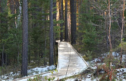 ����� 70 ����� ������� �������� ������ ��������� � ����-��� � ������ ����