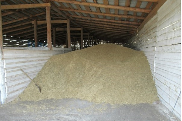 �� ������� � ������ ���� �������������� 11,7 ����� ���� ����� 