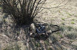 ���������� ������� ������ ���� ��������� �� ������� 