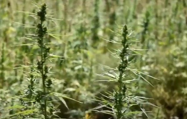 � ������� ��������� �������� ������������ ������� 