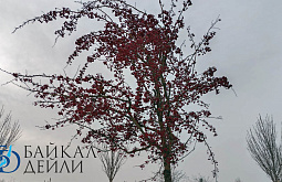 � ������� ����� ����������