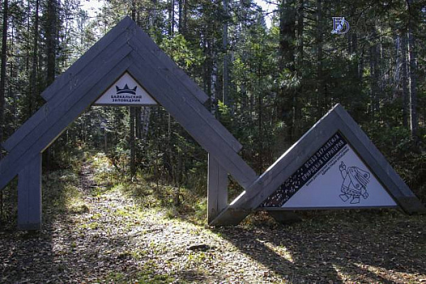 � ������� ����� ��� ����� ���� ������