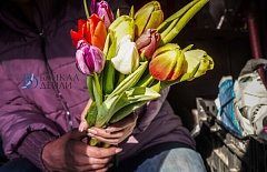 8 ����� � ������� ��-��������� ����� 