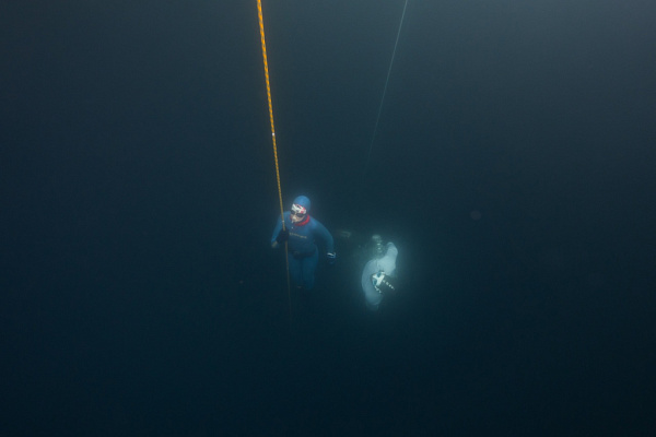 ��������� ����������� �� ������� �������� ����� ���������