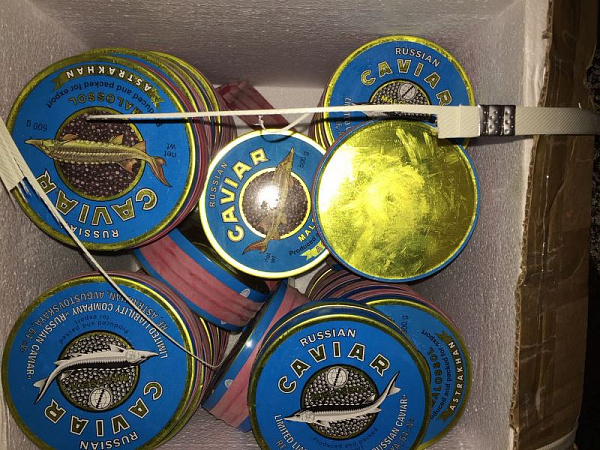 � �������� ��������� ���� � 500 �� ������ ���� 