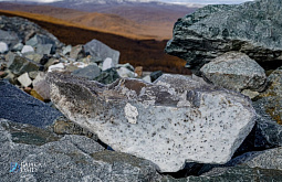 В Бурятии мужчина хранил в гараже нефрита на 55 миллионов