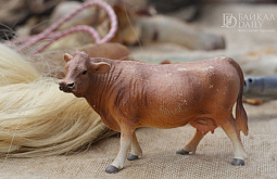 ������ ������ �� ���� ������� �������