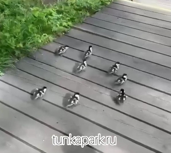 �� �������� � ������������ ����� ������� ����������� �����