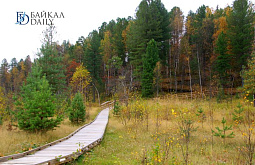 � ������� ���� ����� �� ������������� �������� 