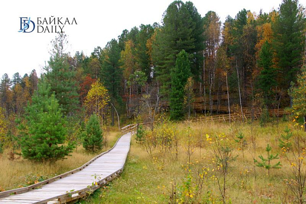 � ������� ���� ����� �� ������������� �������� 