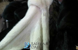 ������ ������� ����� ����� ����� �������� ������� ����  � �������