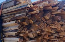 В Иркутске судят ОПГ за контрабанду леса на 365 миллионов