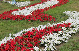 В столице Бурятии высадят цветы на 80 сотках