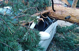 � ���������� ���� ������� ������ ��������� ������