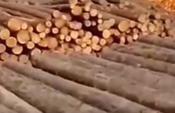 �� ������� � ���������� ����� 200 ����� ���� ��� ������ ����������