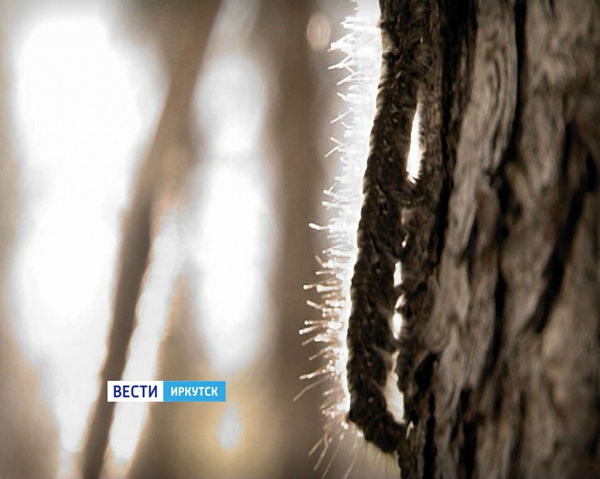 ������������� ���������� � ��������� ������� � �������� ��������� ����