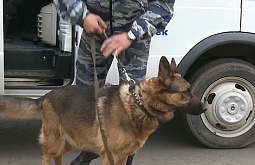 ���������� � ����-��� �������� ��-�� ��������� ����� 