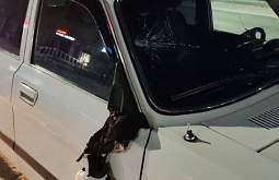 � ������� ������� � ���� ����� ��������