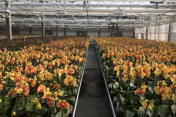 ������� �� ������� ����� �� ����� ����������� � ������������