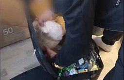 ������� ������� ����� � ����������� � ��������