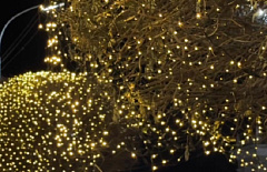 В центре Улан-Удэ засияли яблони